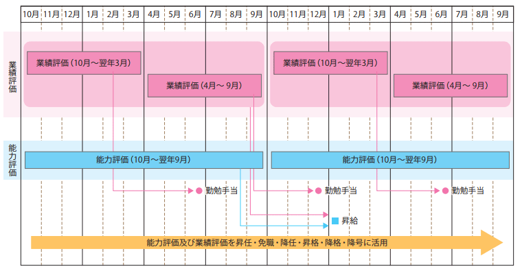 参考資料8　人事評価の実施と評価結果の活用サイクル