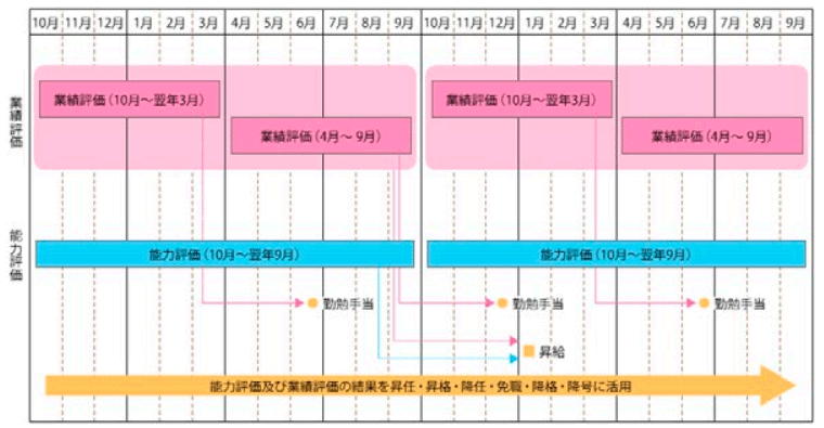 参考資料8　人事評価の実施と評価結果の活用サイクル