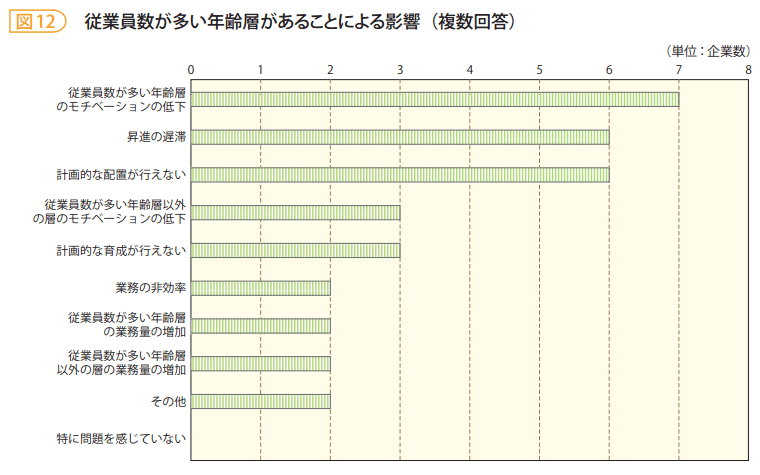 図12　従業員数が多い年齢層があることによる影響（複数回答）