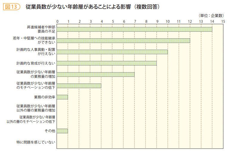 図13　従業員数が少ない年齢層があることによる影響（複数回答）