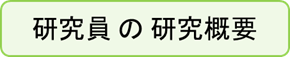 研究員の研究概要