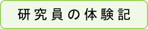 研究員の体験記