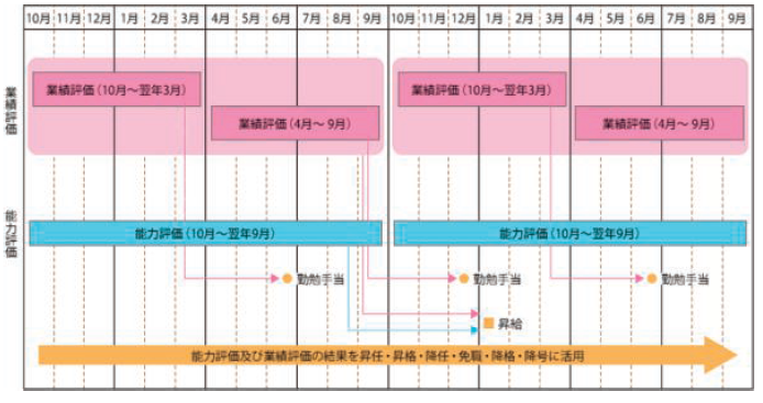 人事評価の実施と評価結果の活用サイクル